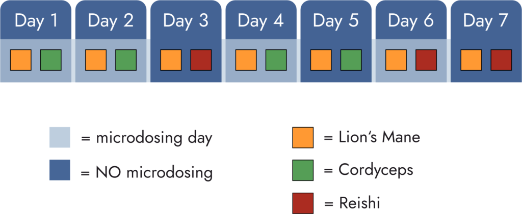 fortifying protocol microdosing stacking schedule image lion's mane, reishi, cordyceps